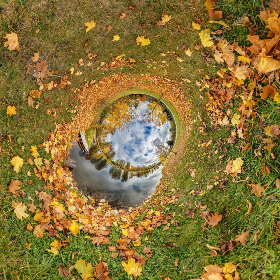 An image of a circular pond with leaves on it photo