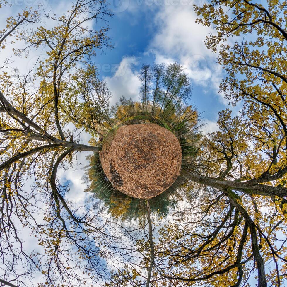 A small planet with trees and sky in the background photo