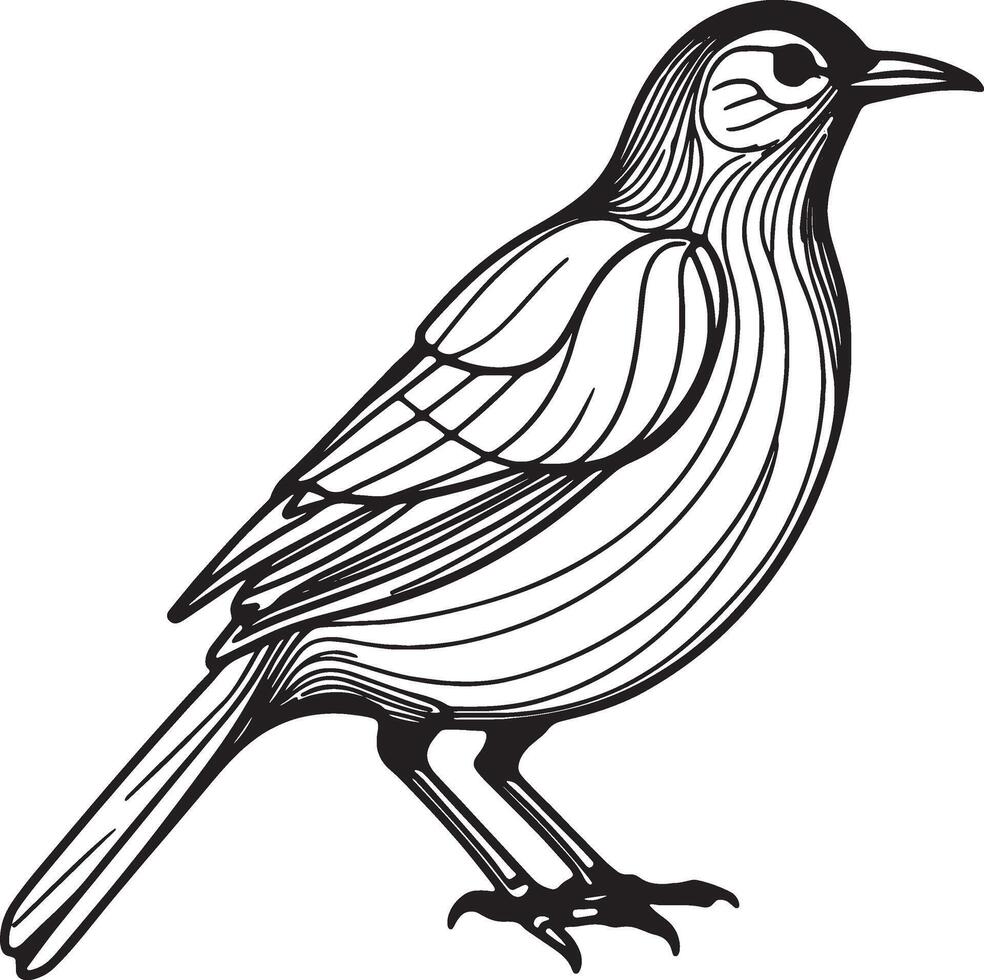 A bird black line art silhouette vector