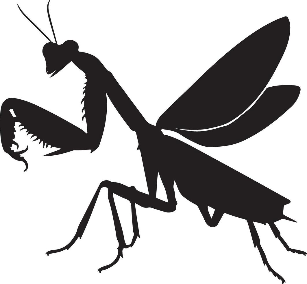 Avector silhoutte image of a mantis icon vector