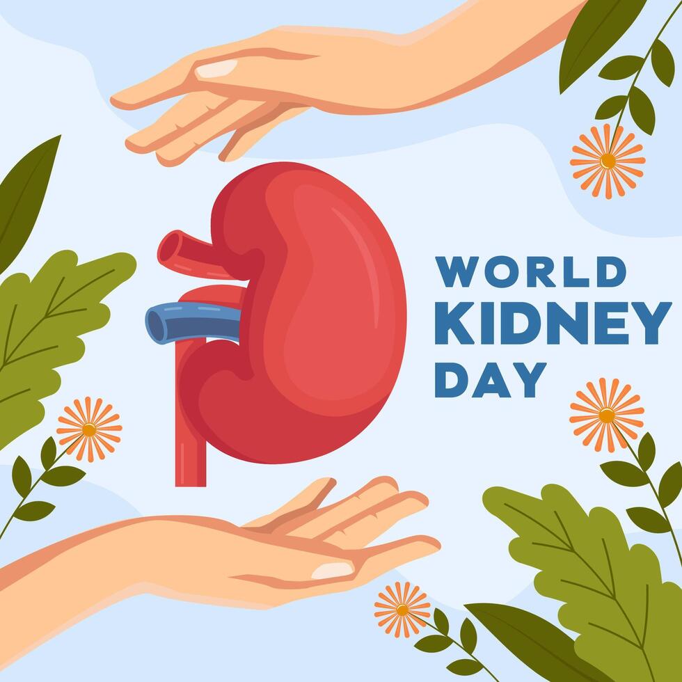 illustration for world kidney day in flat style design vector