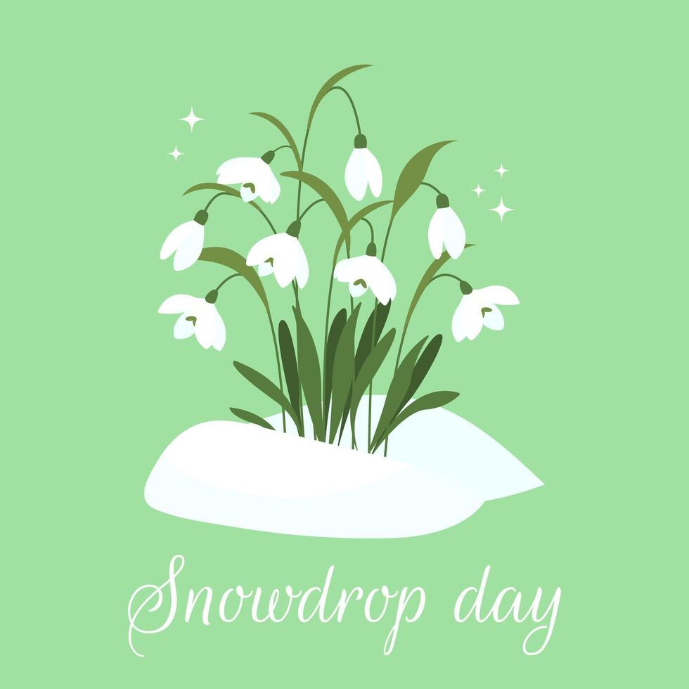 Snowdrop Day. Spring composition of snowdrops. Greeting card in flat style. illustration vector
