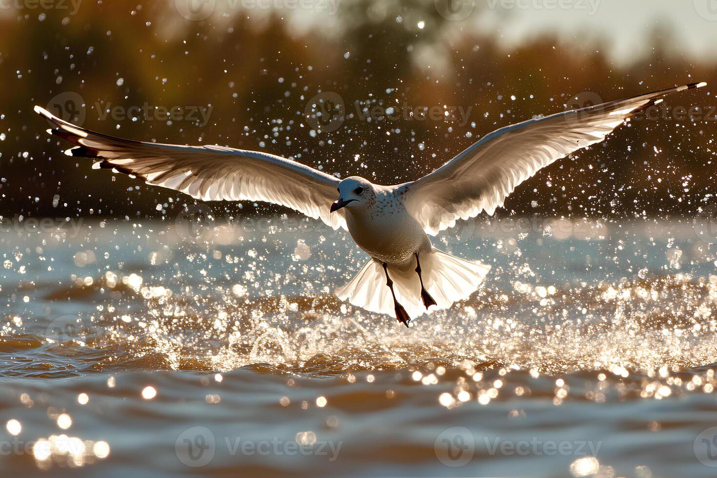 A seagull flying over the lake on a clear sunny day, creating an atmosphere of freedom and lightness amidst nature photo