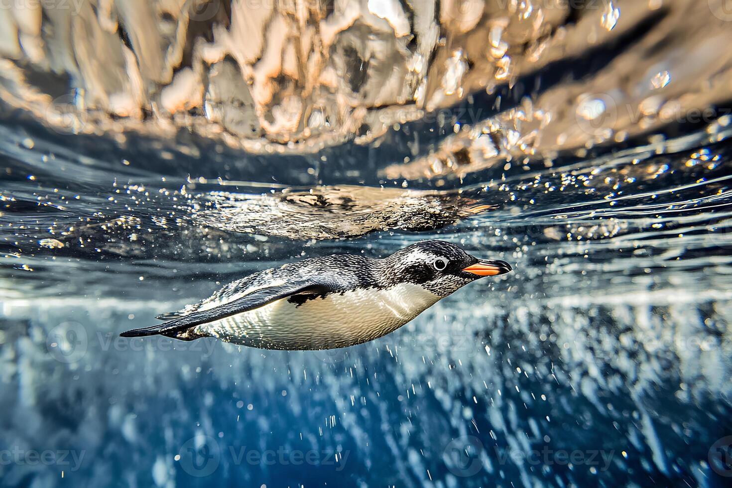 A Gentoo penguin emerging from the water, creating vibrant splashes, giving a dynamic feeling of movement and freshness in this arctic moment photo