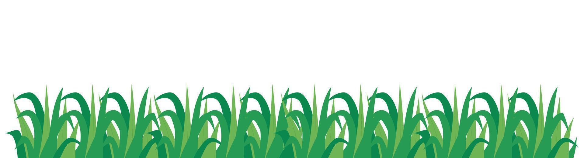 Grass Isolated Background vector