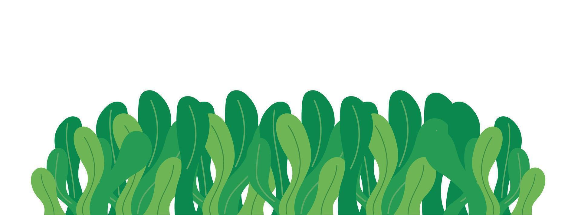 Grass Border Isolated Background vector