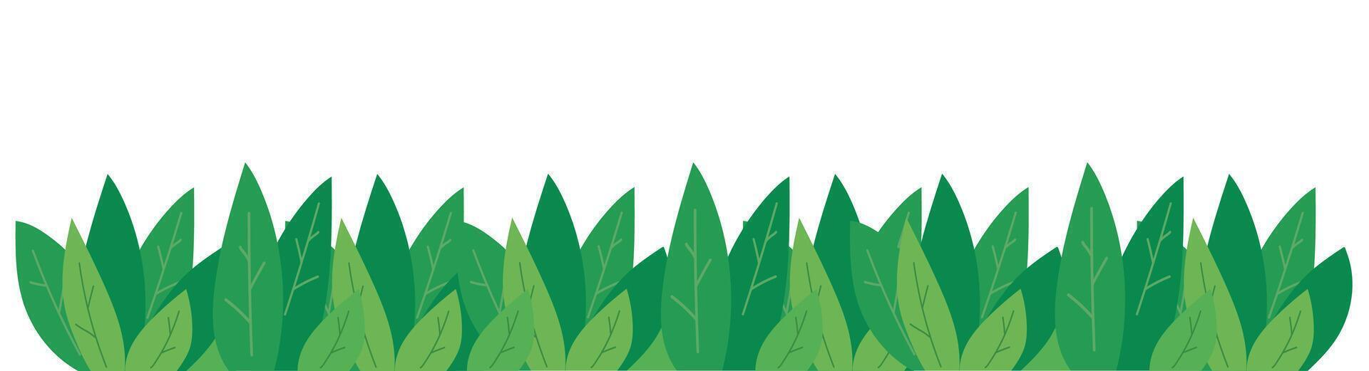 Grass Isolated White Background vector