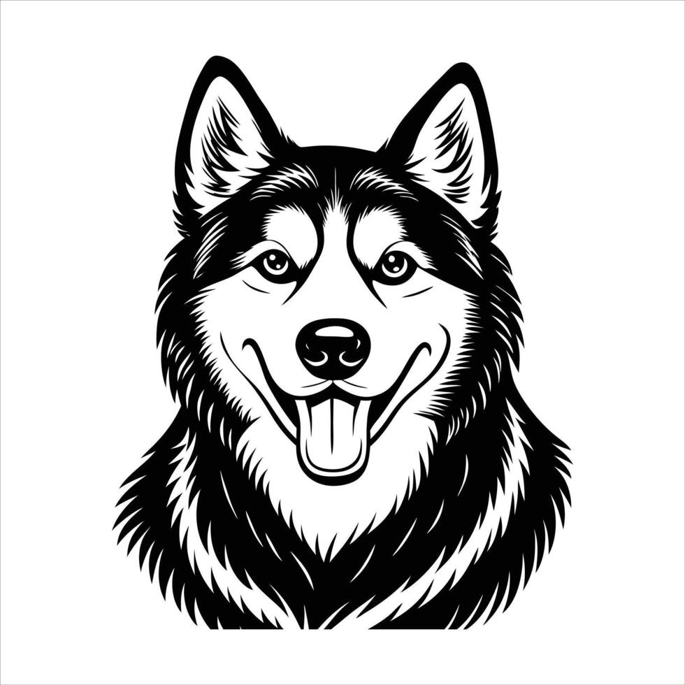 siberian husky dog happy vector