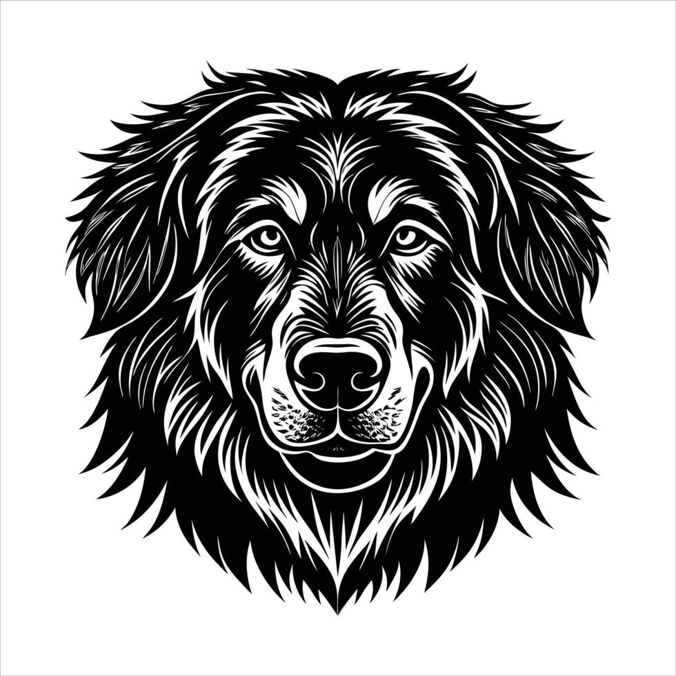 great pyrenees dog vector