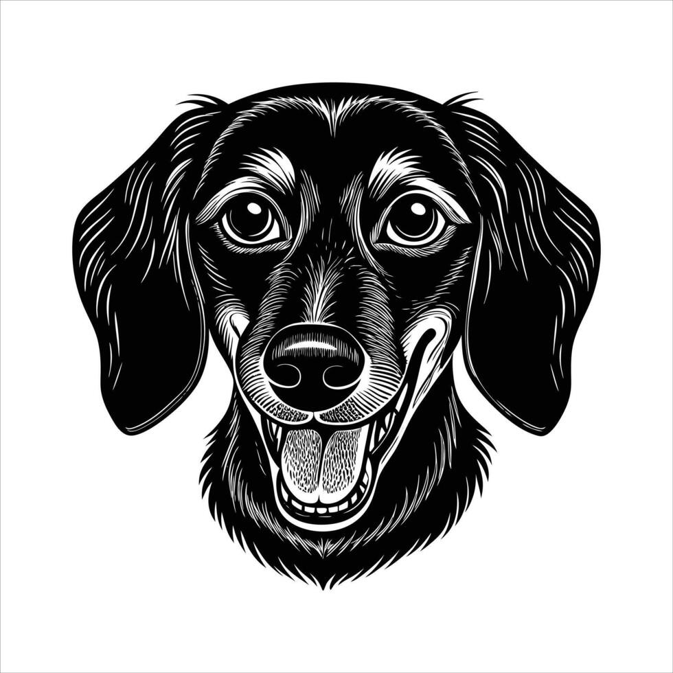 dachshund happy dog vector