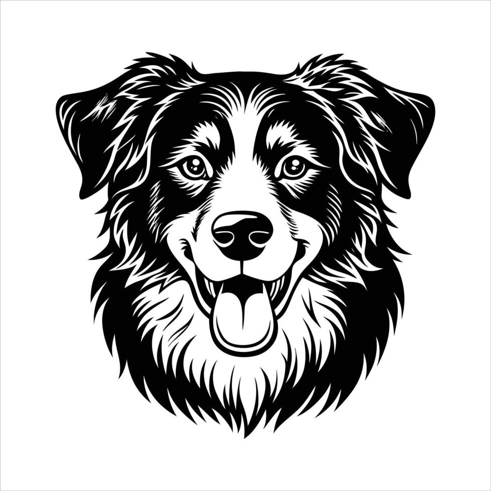 australian shepherd dog happy vector
