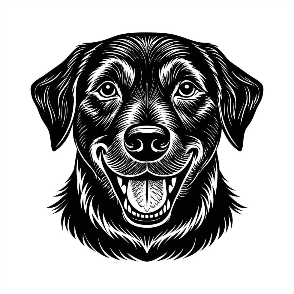 labrador retriever dog happy vector