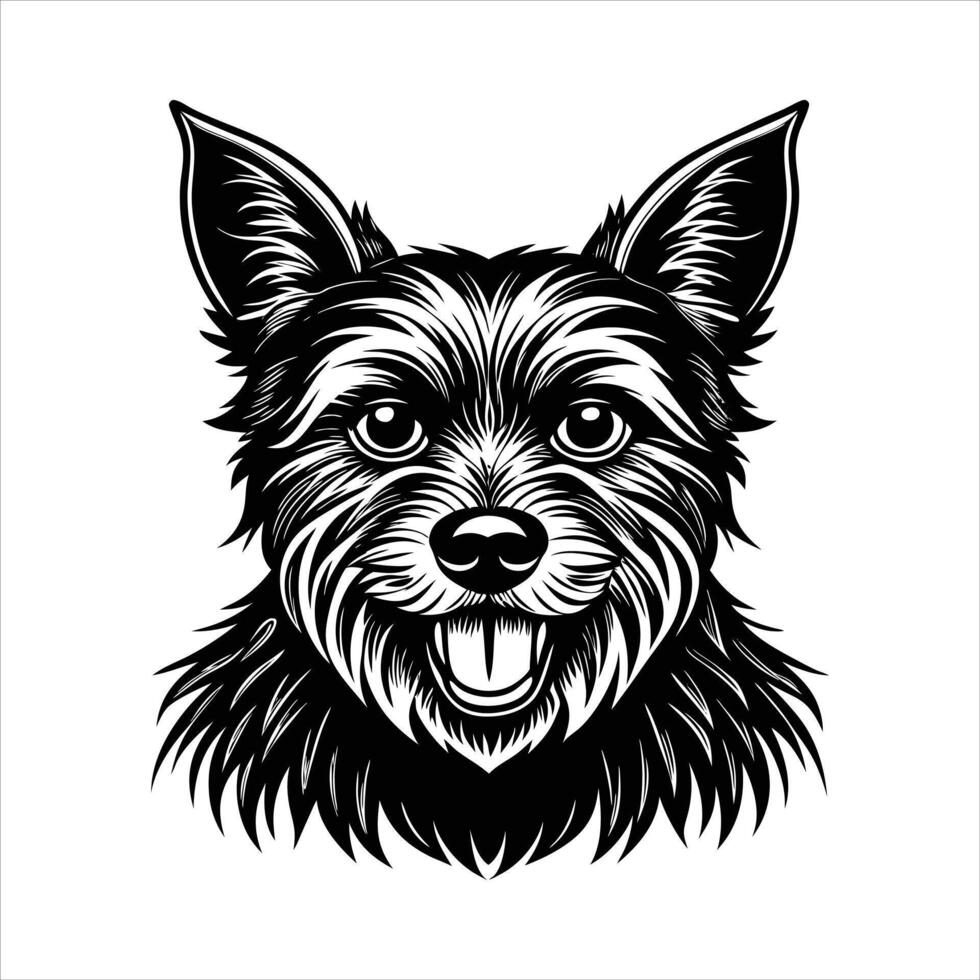 cairn terrier dog head icon vector