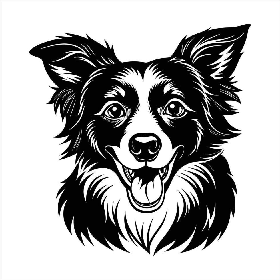 border collie dog happy vector