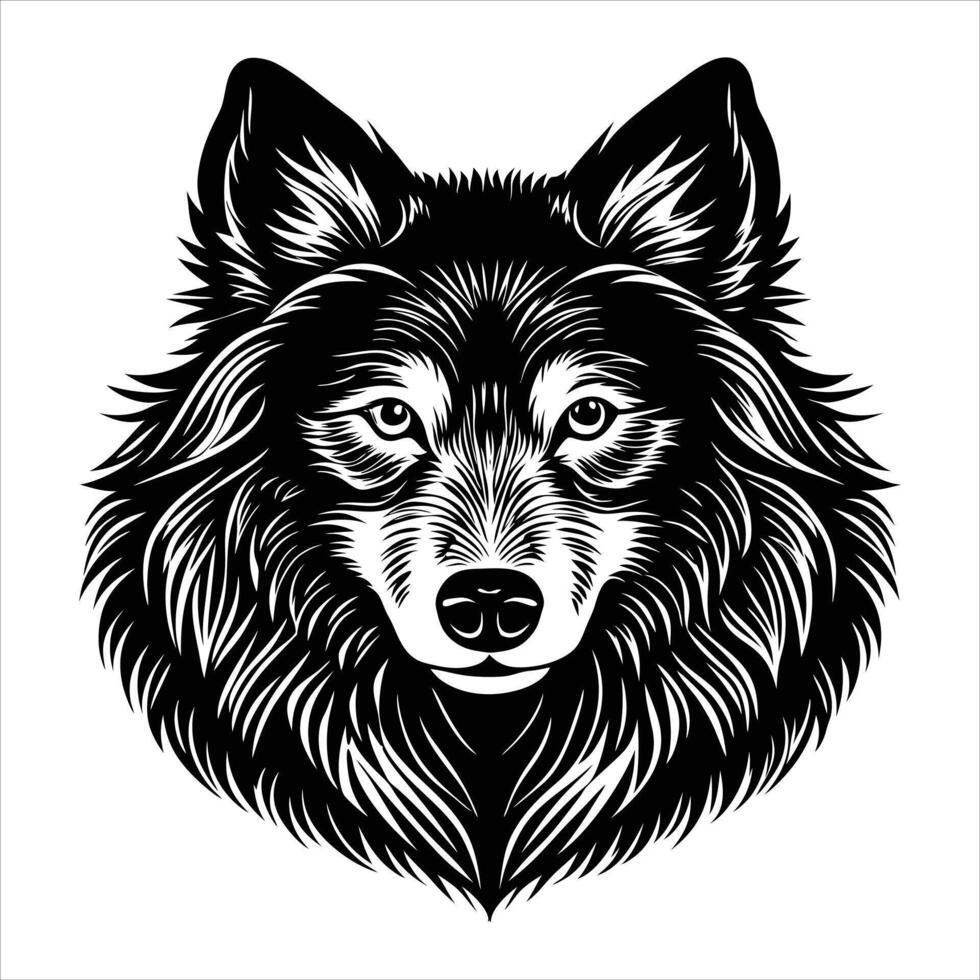 celandic sheepdog dog vector