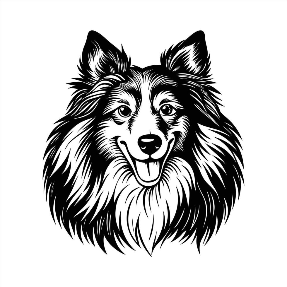 sheltie dog happy vector