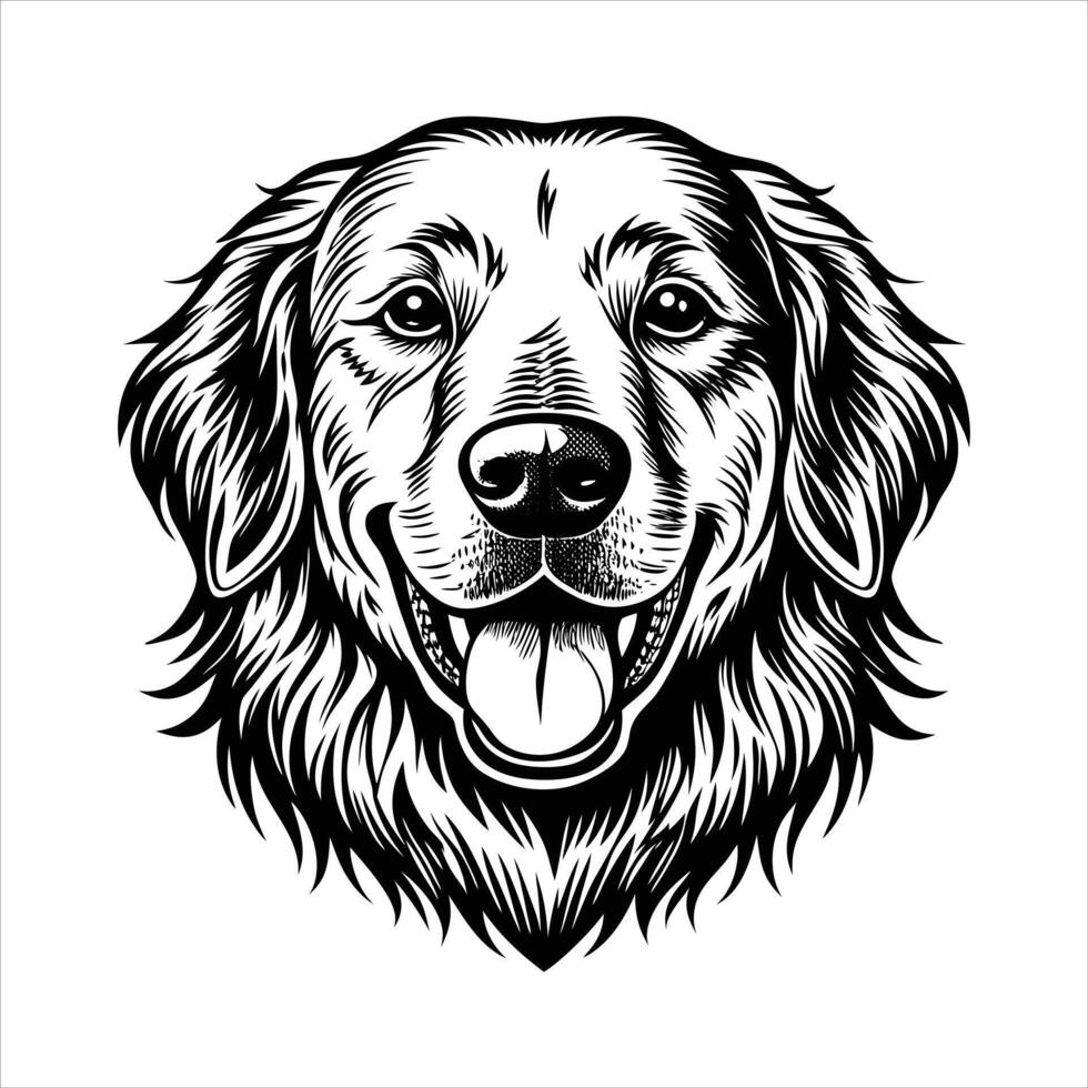 golden retriever dog vector