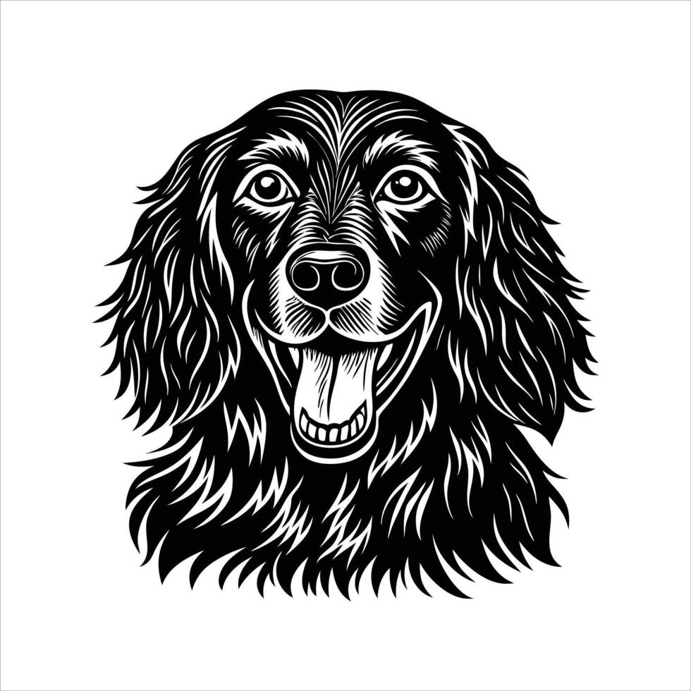 irish setter dog vector