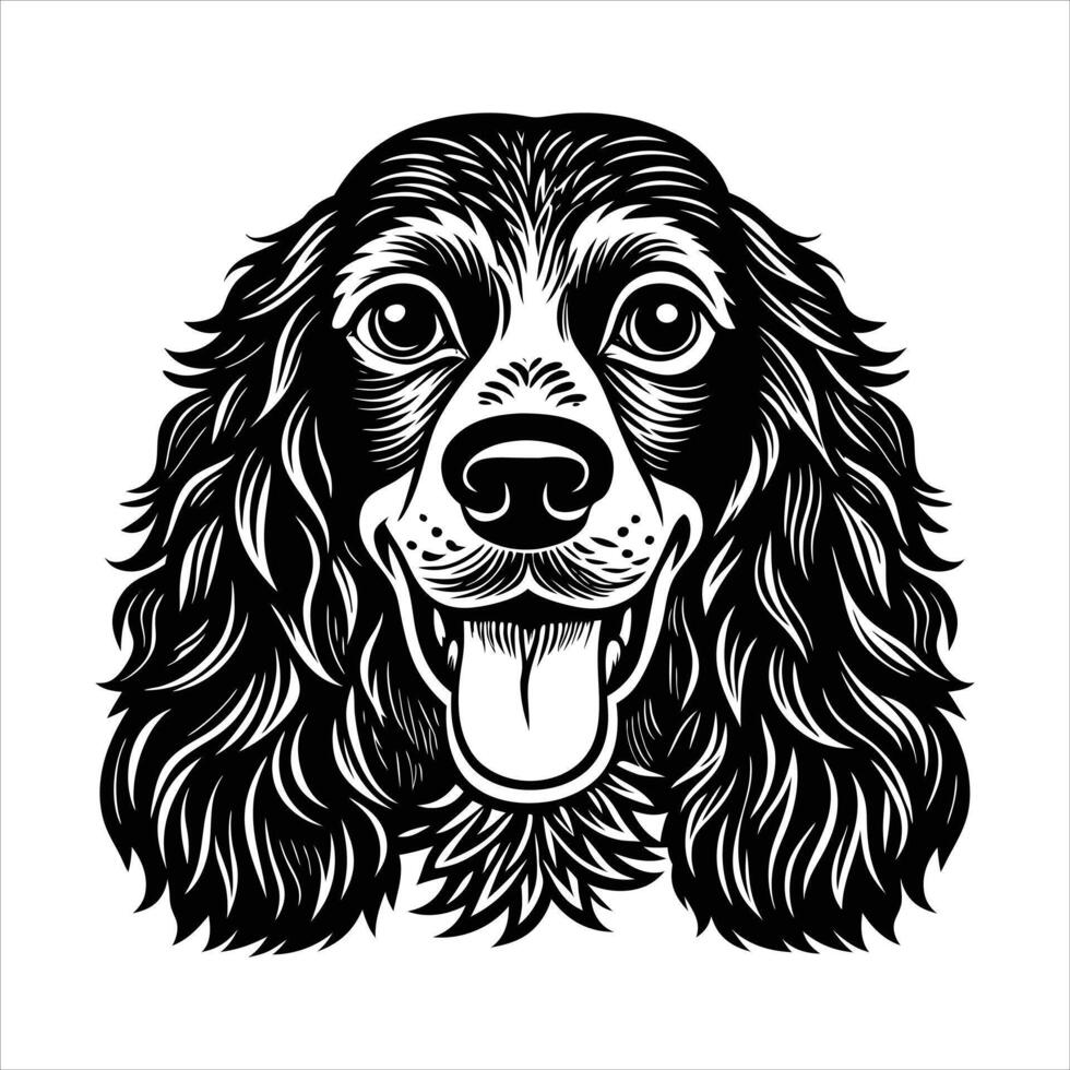 english cocker spaniel dog vector