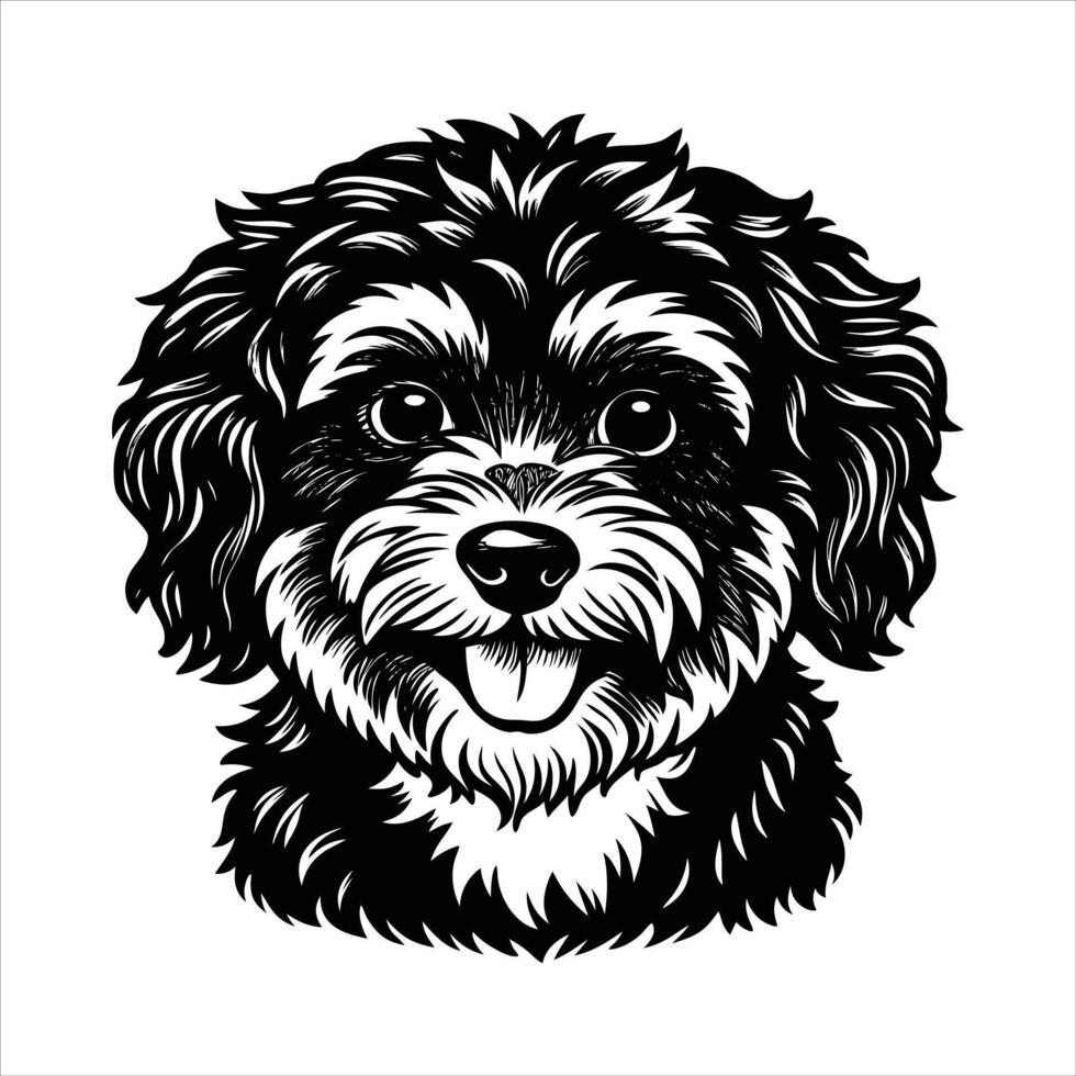 maltipoo dog happy vector