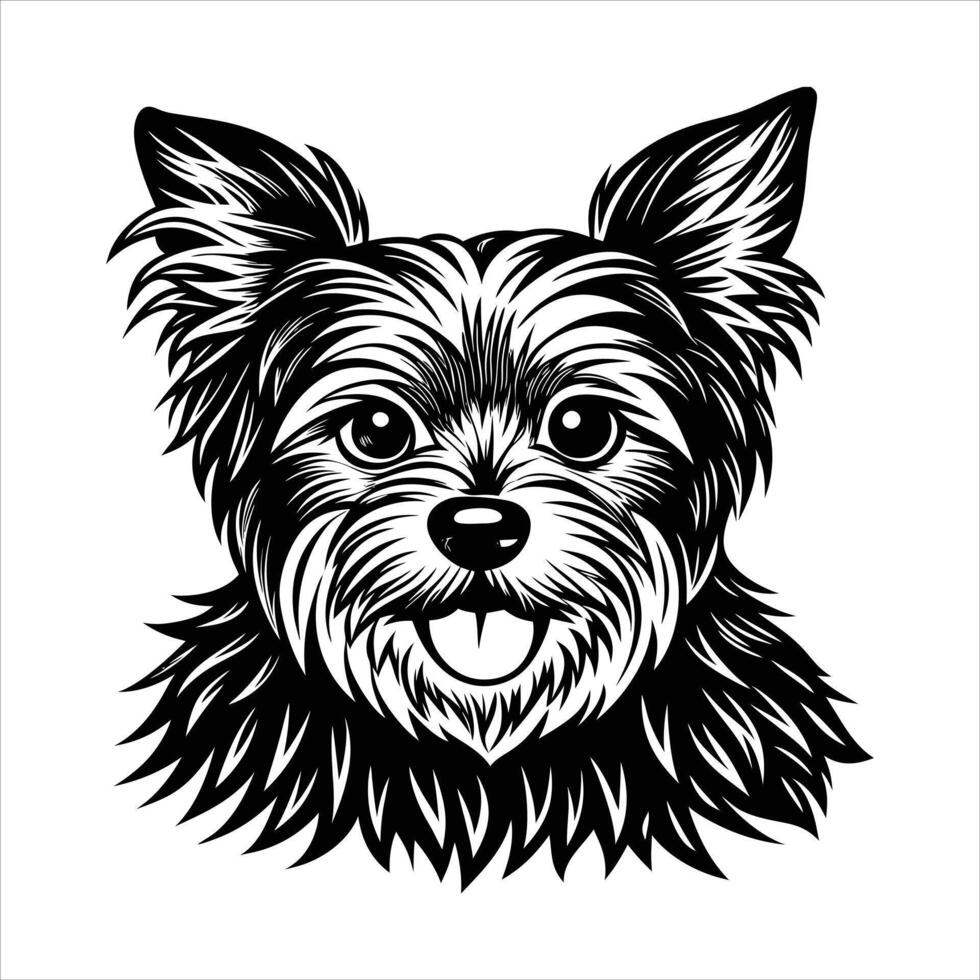 yorkshire terrier dog vector