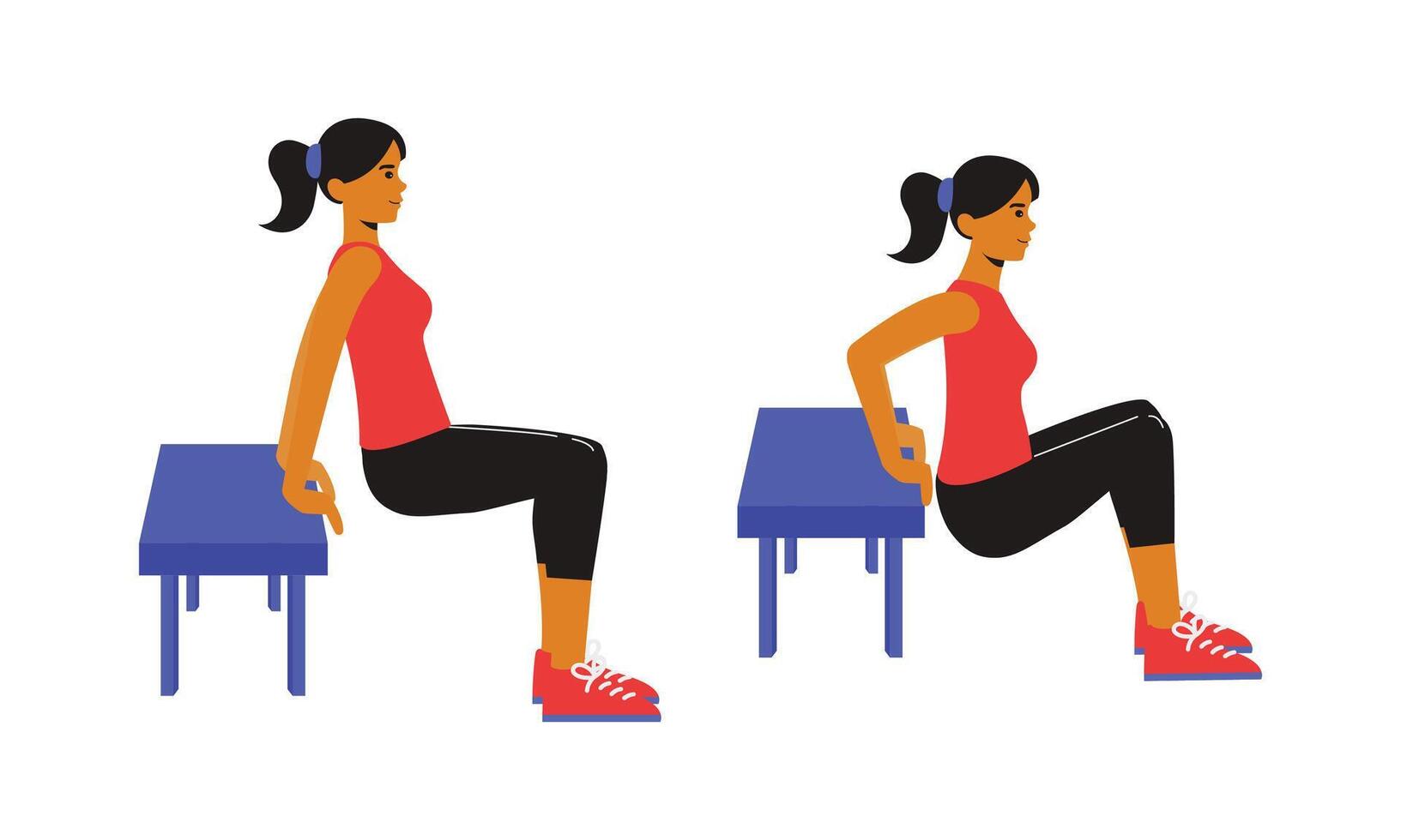 Fitness Workout Bent Knees Bench Dip Exercise vector