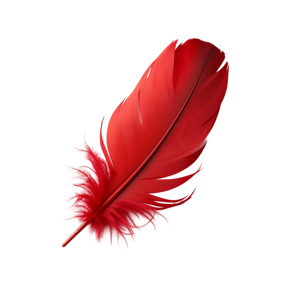 Vibrant Red Feather Against Transparent Background png