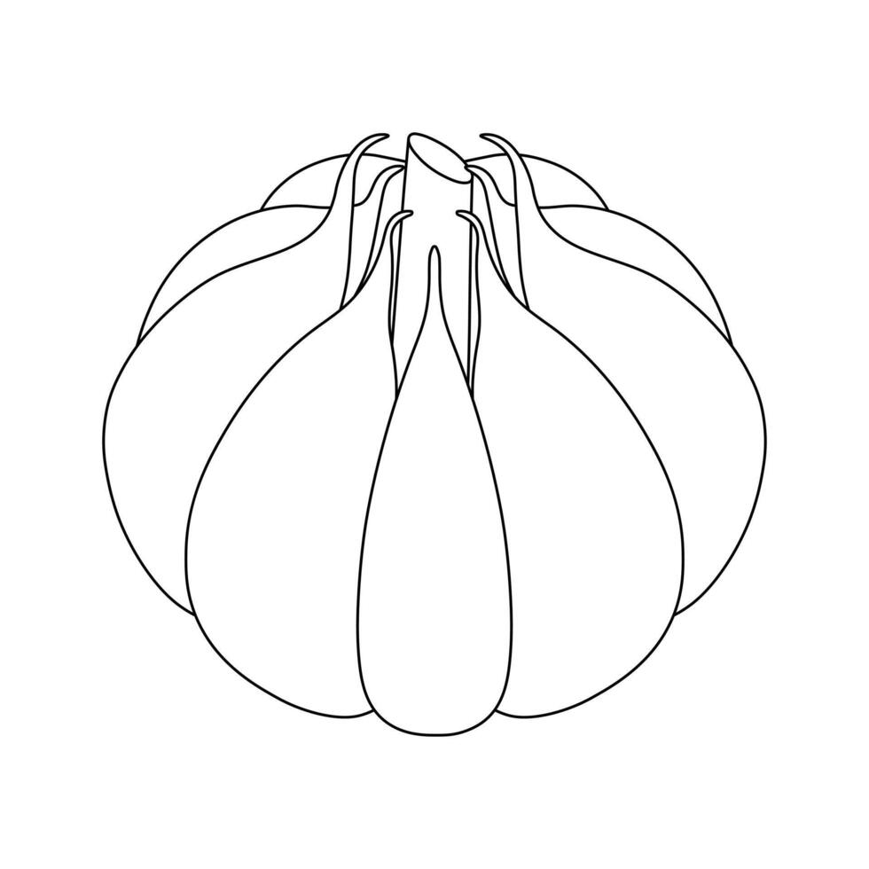 Hand drawn kids drawing illustration a bulb of garlic cartoon isolated vector