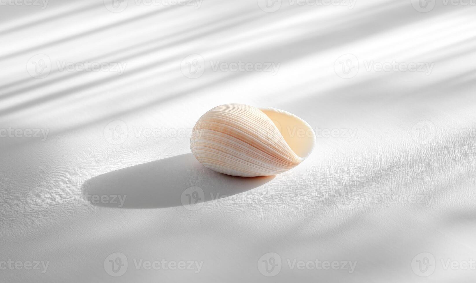 A small white shell is laying on a white surface photo