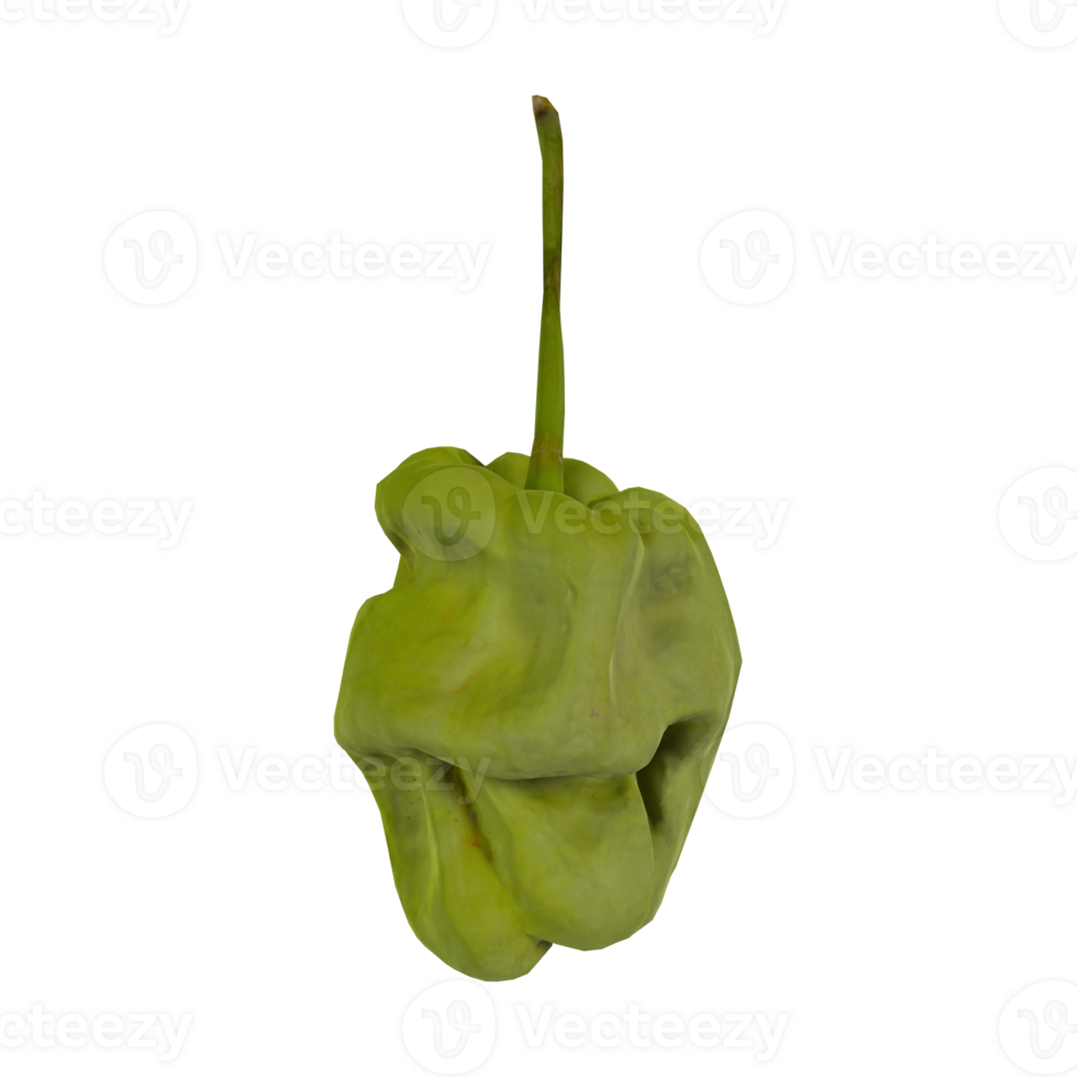 Unusual green chile hanging in a kitchen environment png