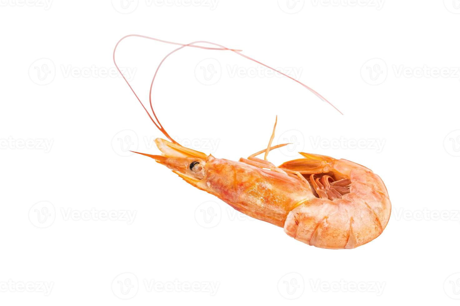 Raw red Argentine shrimps, Prawns Langostino Austral isolated on white background. top view photo