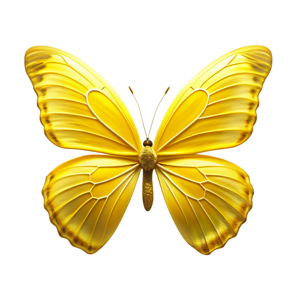 yellow butterfly is isolated on transparent background png