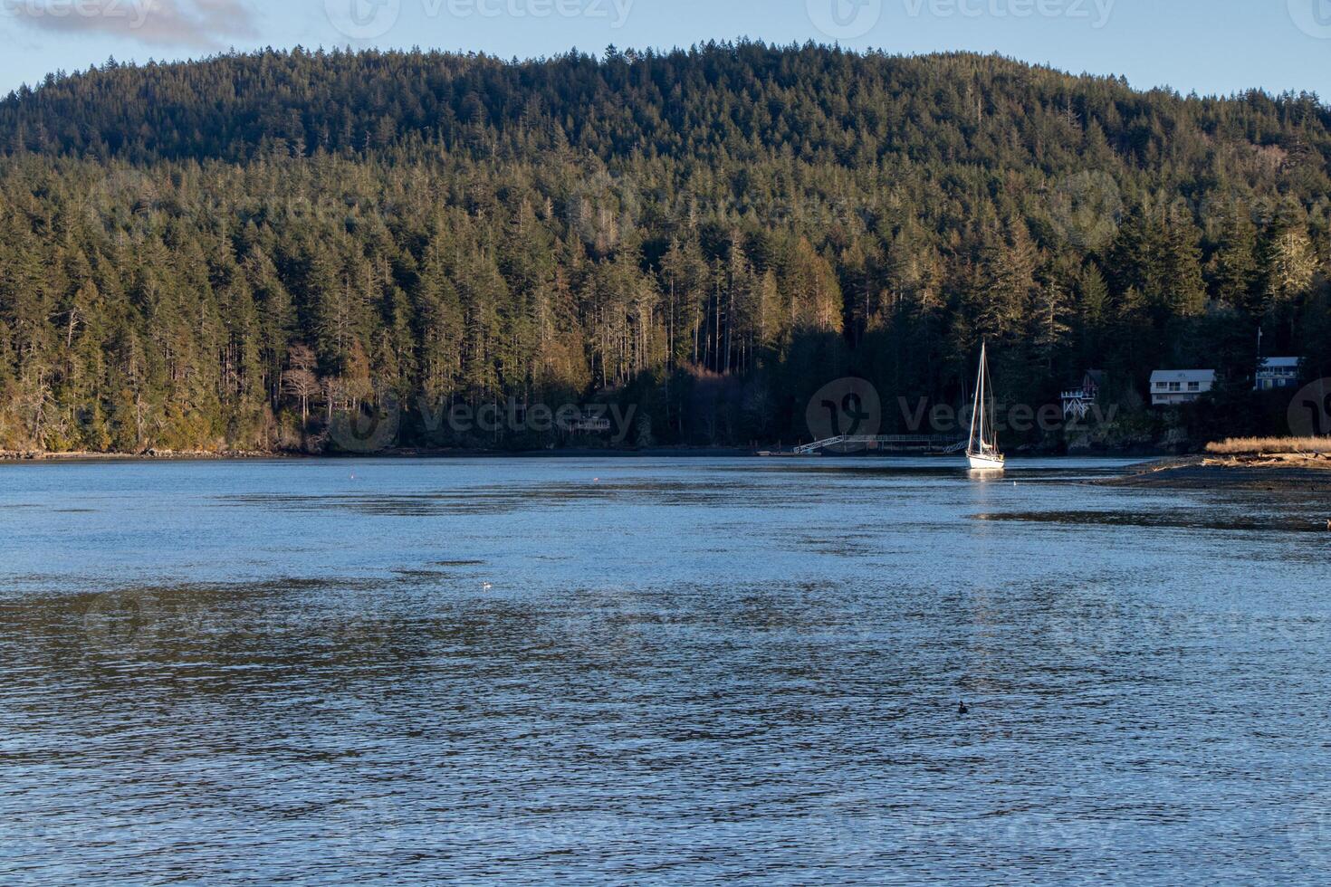 A sailboat entering a tranquil bay in the Pacific Northwest photo