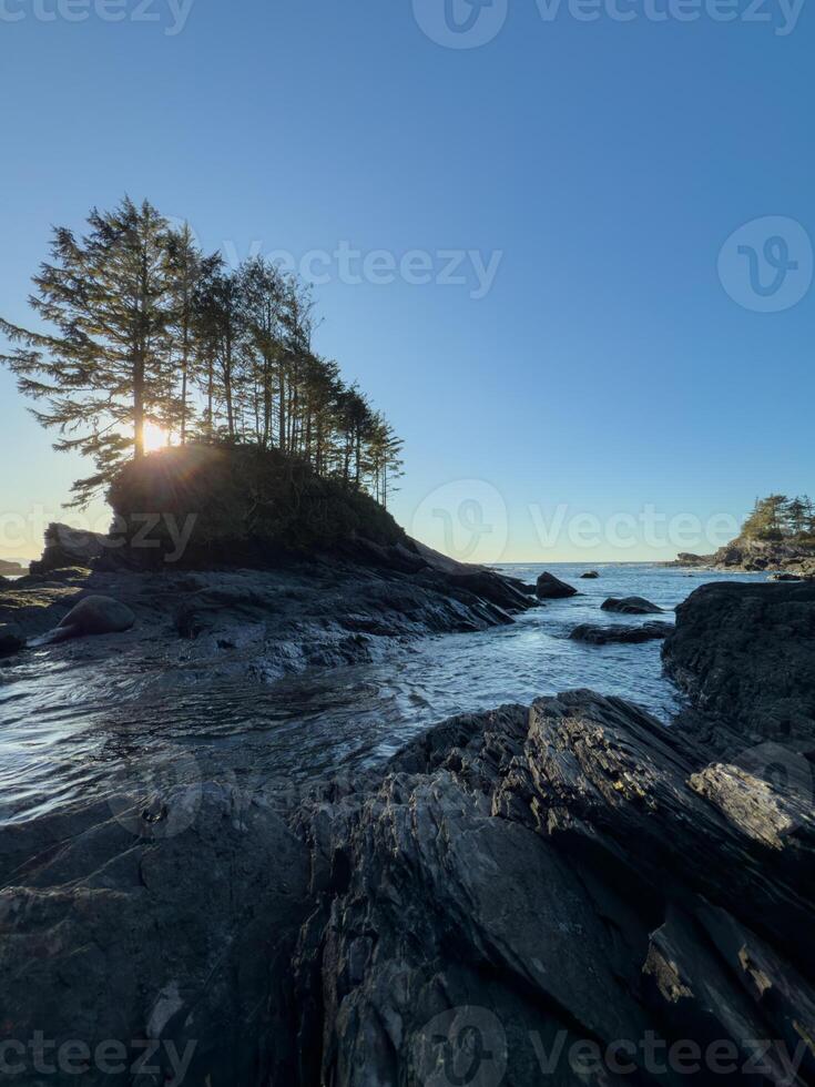 Sunlight through the trees on the coast of Vancouver Island photo