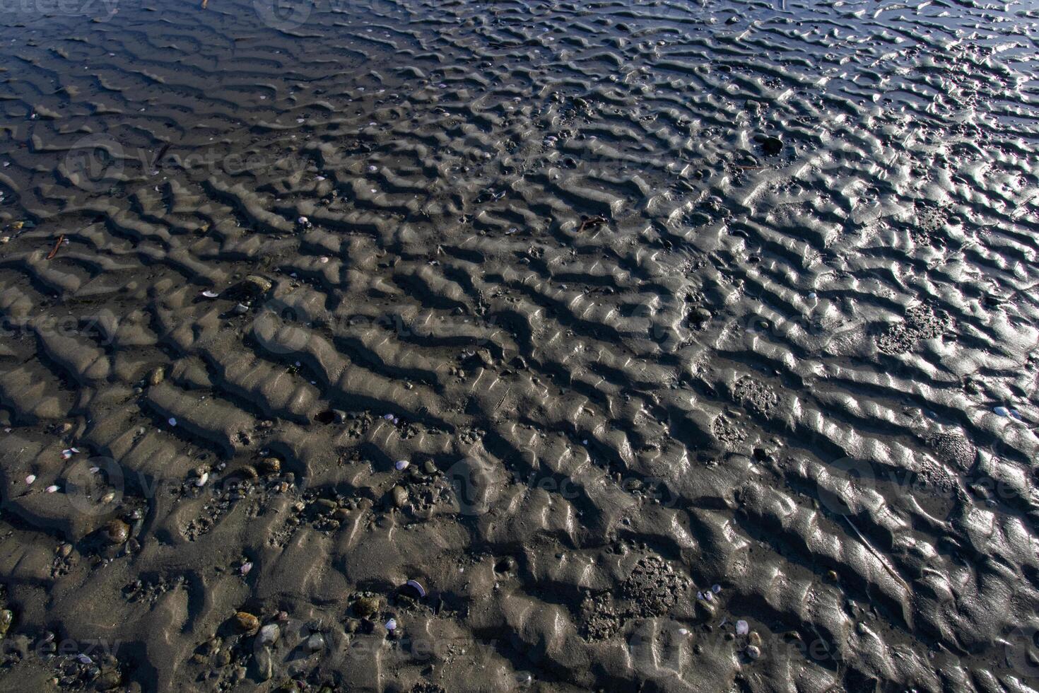 Ripples in the sand on the beach photo