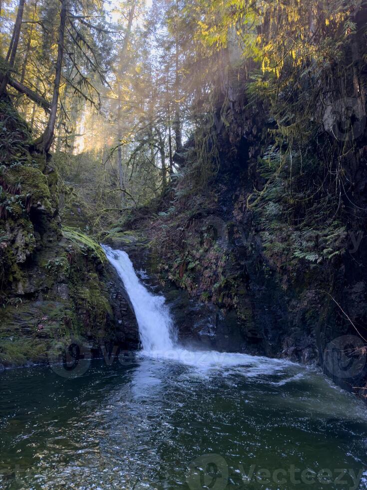 Waterfall in a sunlit forest photo
