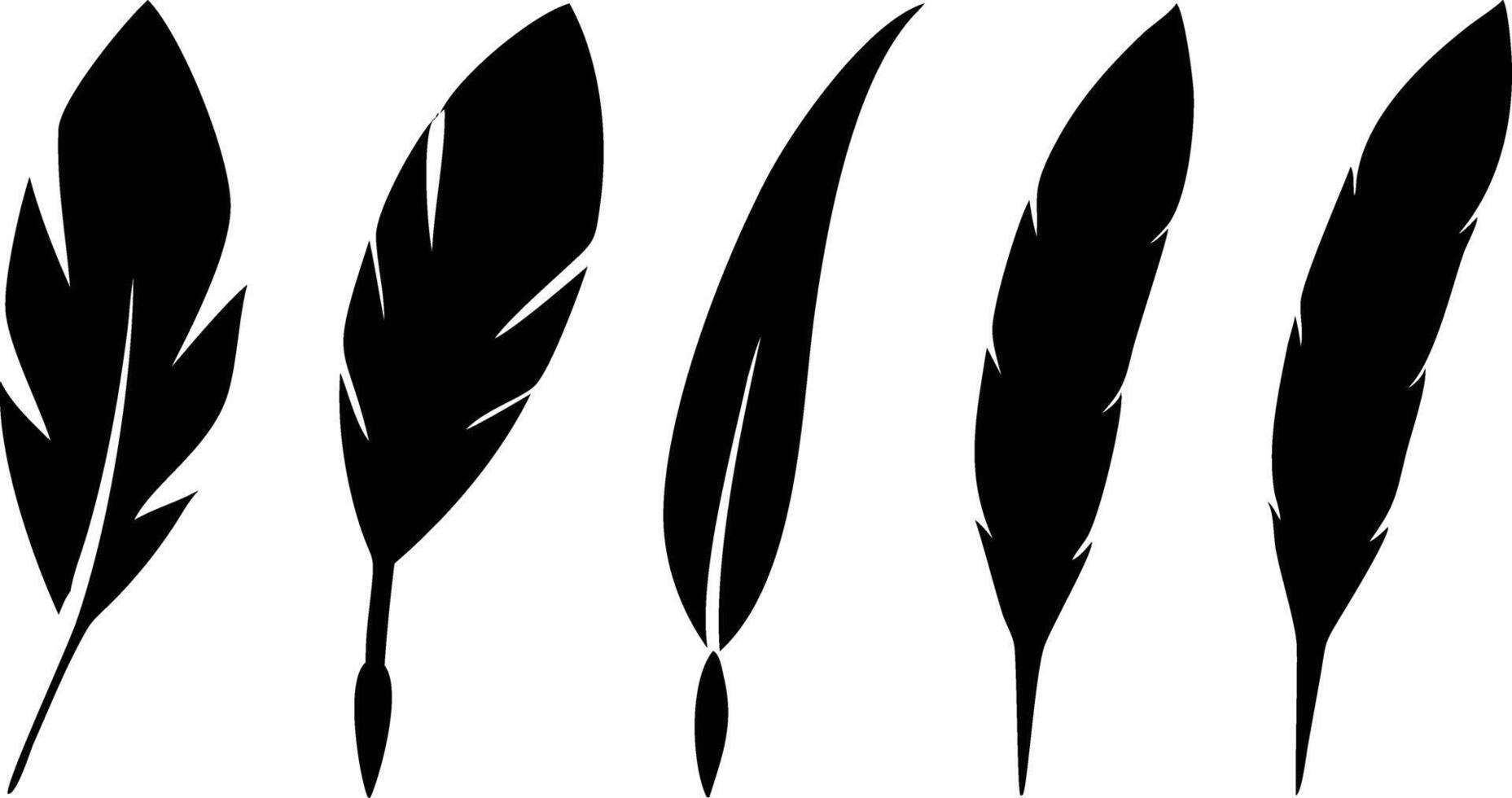 Exotic Set of Birds Feathers for Unique and Stylish Artwork vector