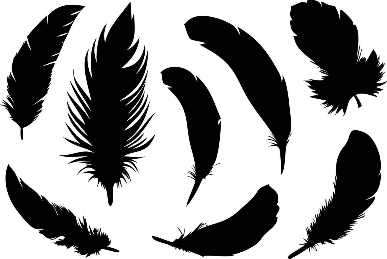 Unique Set of Birds Feathers for Fashion and Home Decor vector