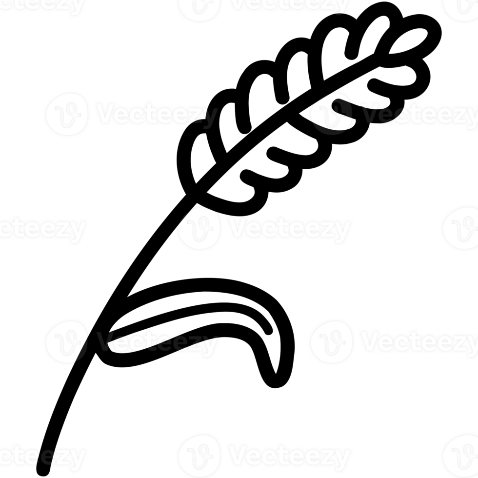Wheat and leaf png