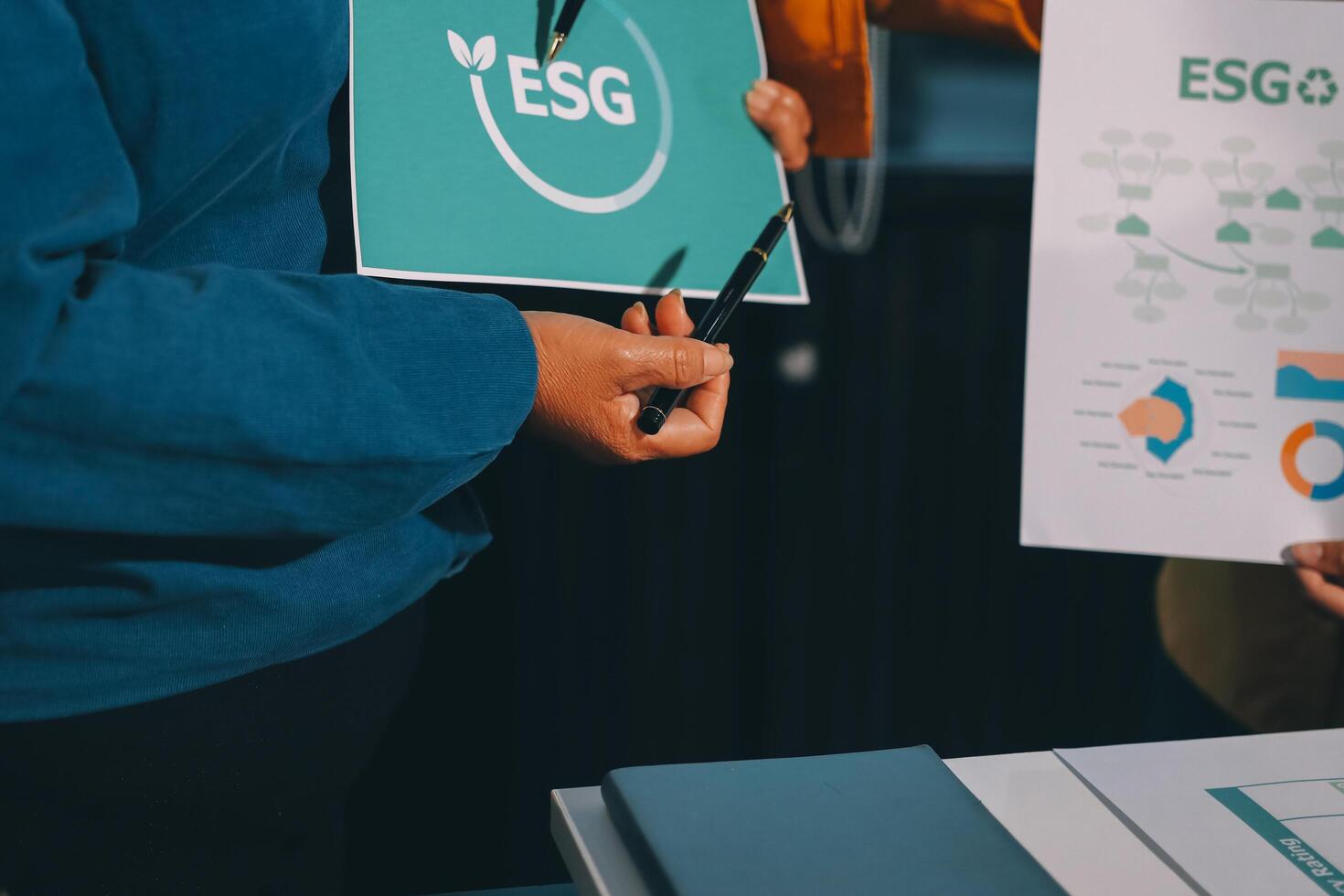 Esg is a global standard for data quality photo
