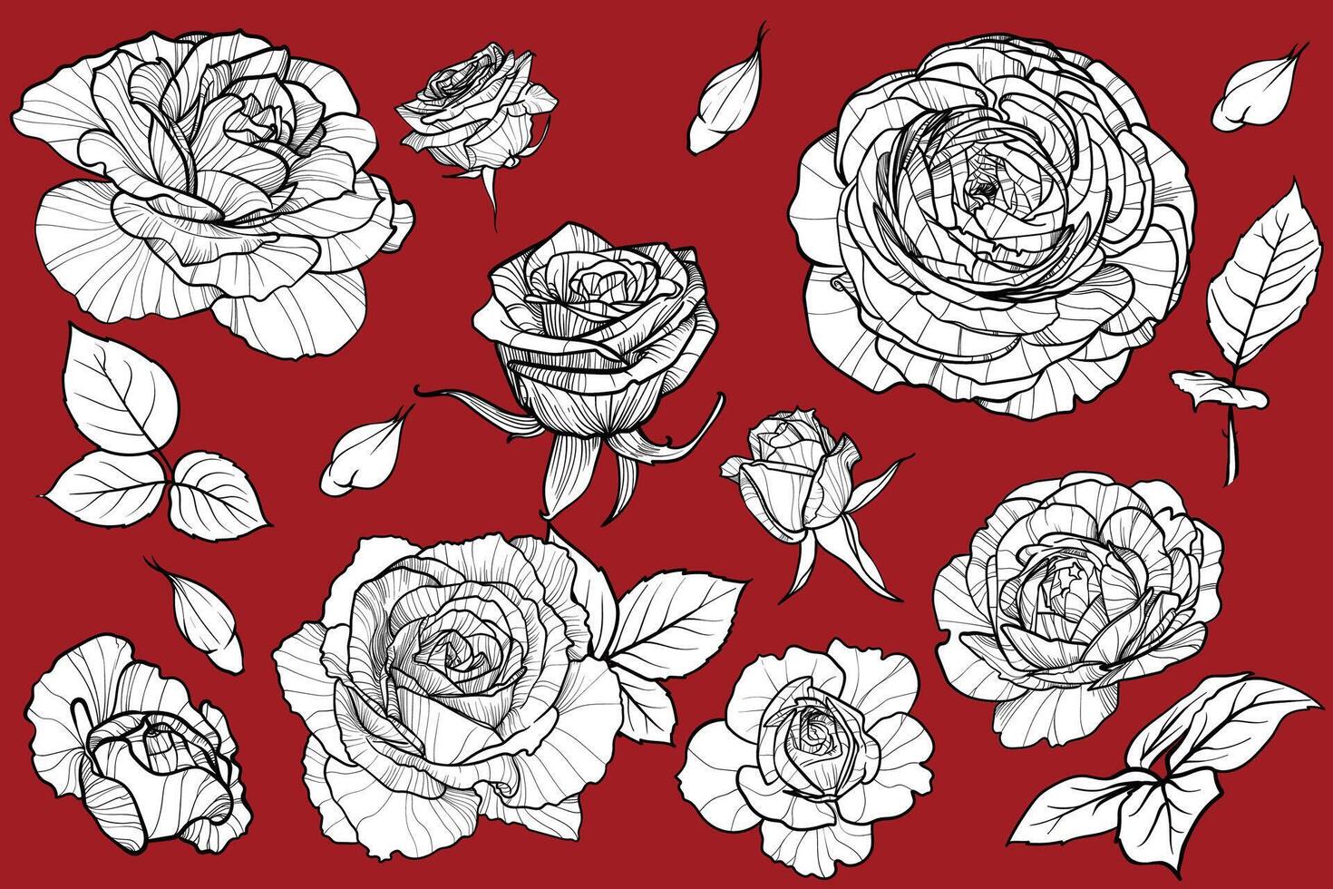 Roses blooms and leaves. Summer flowers on red background with black outline and white fill which are all in separate groups. vector