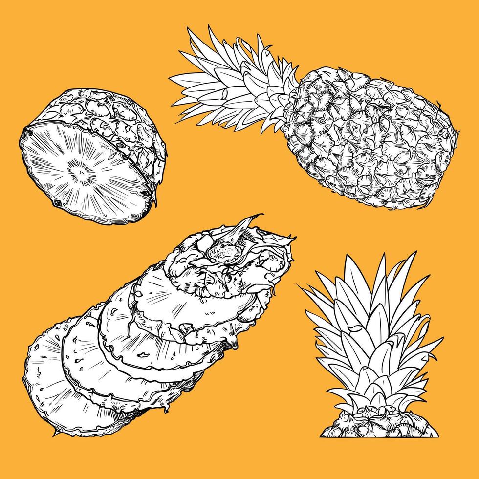 hand drawn pineapple. Outline fruits for graphic designs. Isolated graphic assets on yellow background. Ready to use and easy to edit. vector