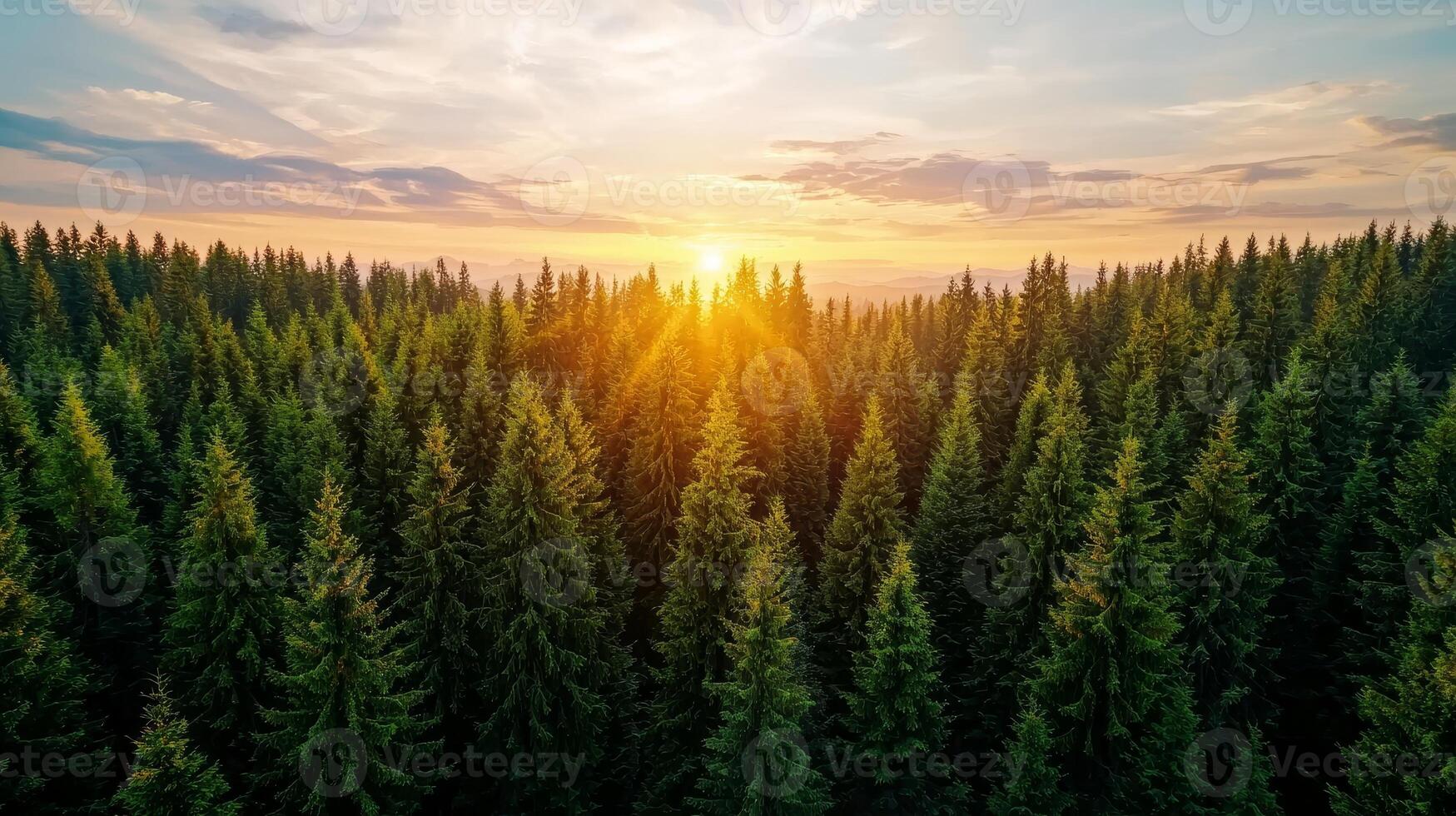 Burnout recovery mental concept. Sunset over lush green forest with tall trees and a colorful sky. photo