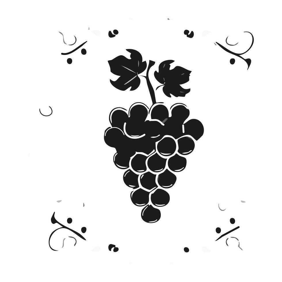 Grapes. Black grape with leaf illustration isolated on a white background. Black and white. vector