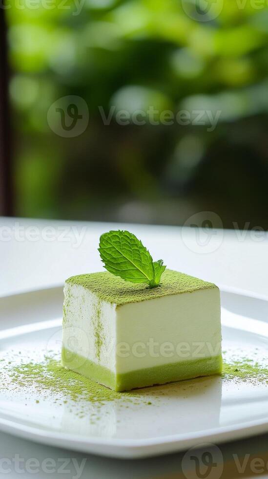Delicate matcha dessert served on a white plate surrounded by natural greenery photo