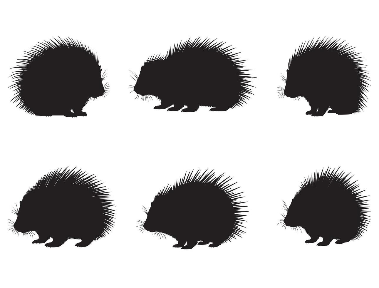 Porcupine silhouette white background vector
