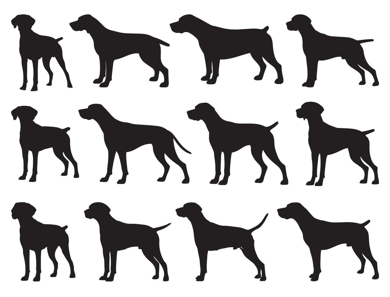 Pointer dog silhouette white background vector