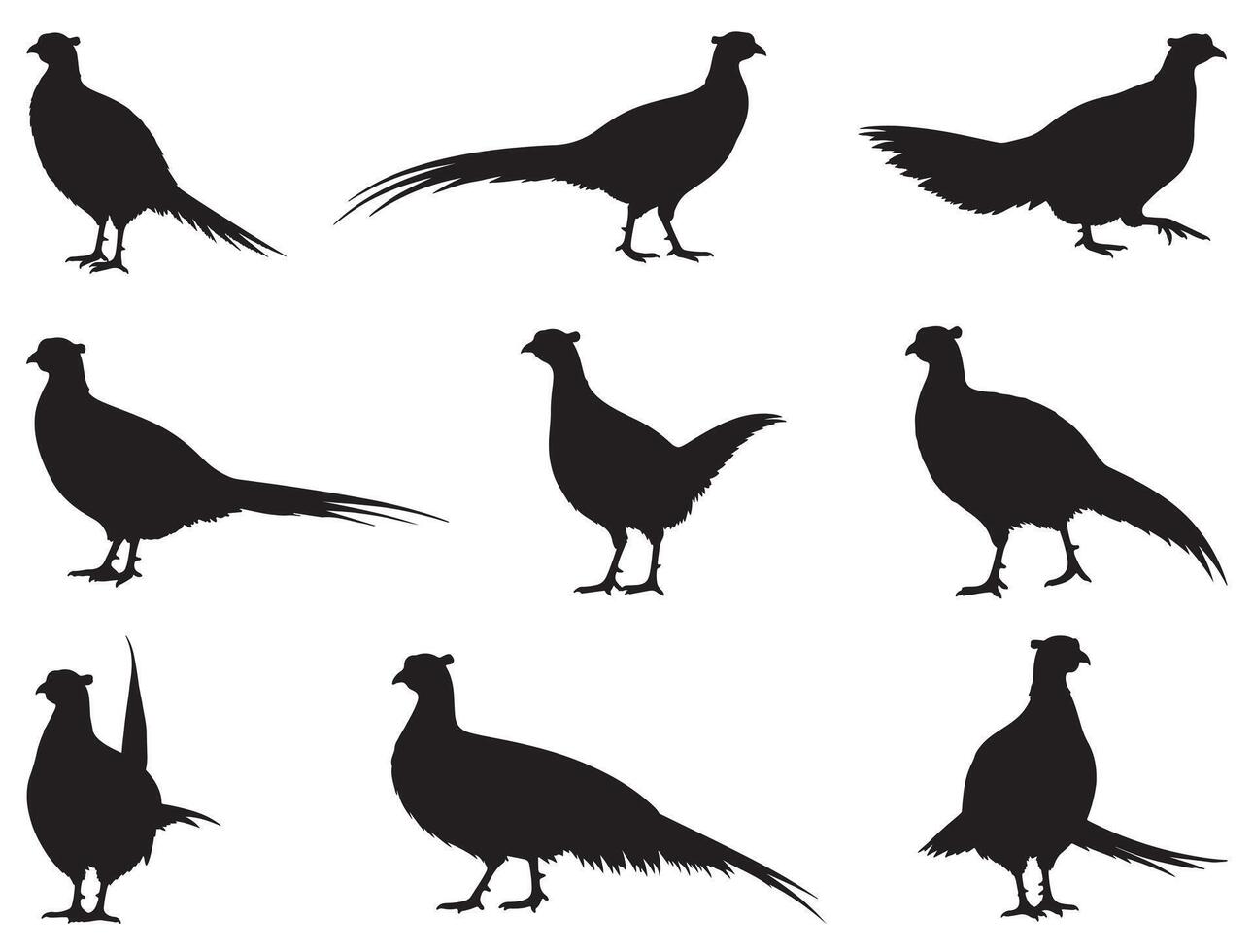 Pheasant bird silhouette white background vector