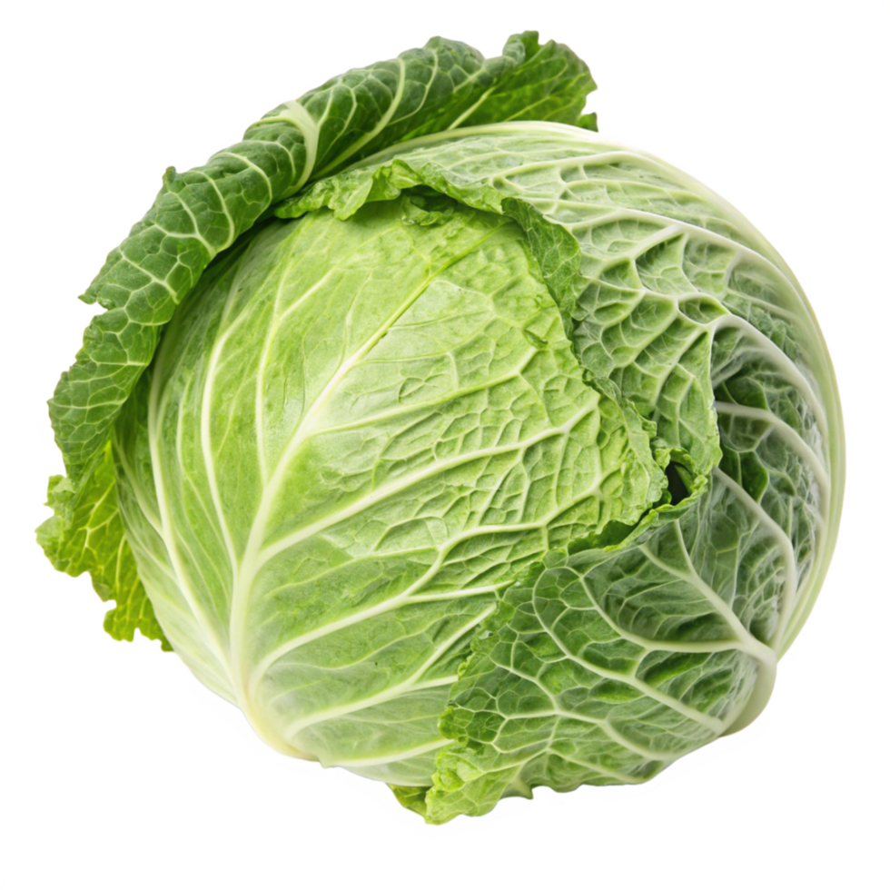 Fresh green cabbage a high-quality food photography studio setting top view for culinary use png