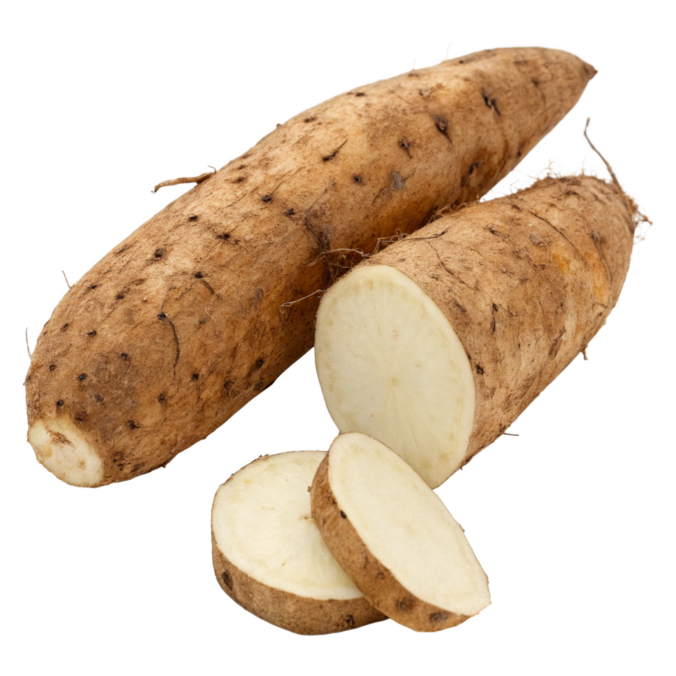 Fresh yam harvesting techniques japan food photography close-up culinary inspiration png